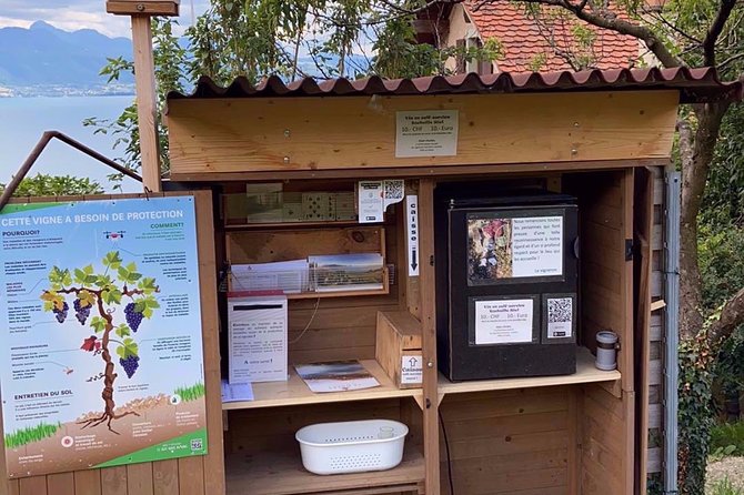 Vine Stories: Lavaux & Lutry wine walk - The second tasting stop and the snack break that ties it together