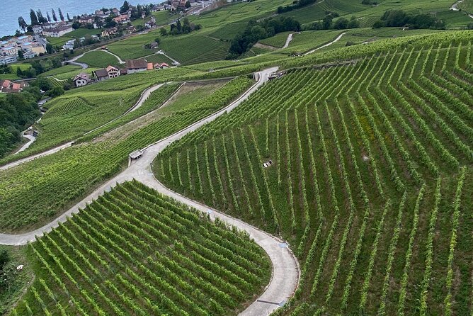 Vine Stories: Lavaux & Lutry wine walk - Price and value: what you’re paying for at $309.10