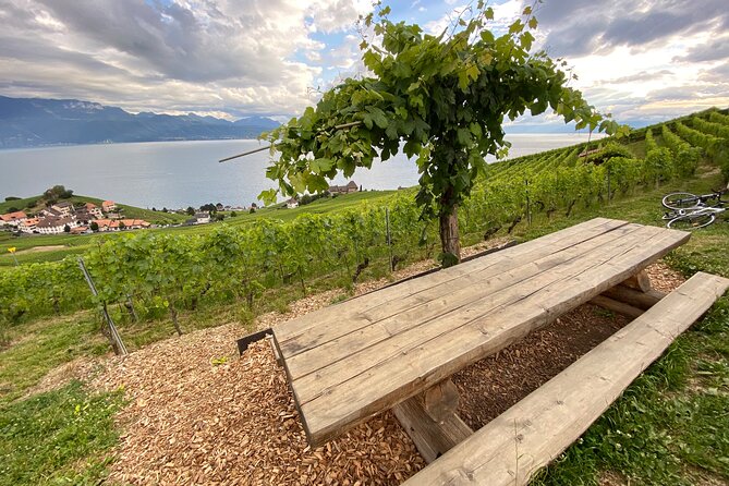 Vine Stories: Lavaux & Lutry wine walk - Stop 1 in Grandvaux: vineyards first, tastings in real settings