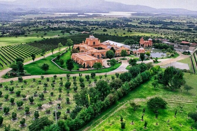 Vineyard, tour, tasting and fun in San Miguel de Allende - Key highlights you should know before you go