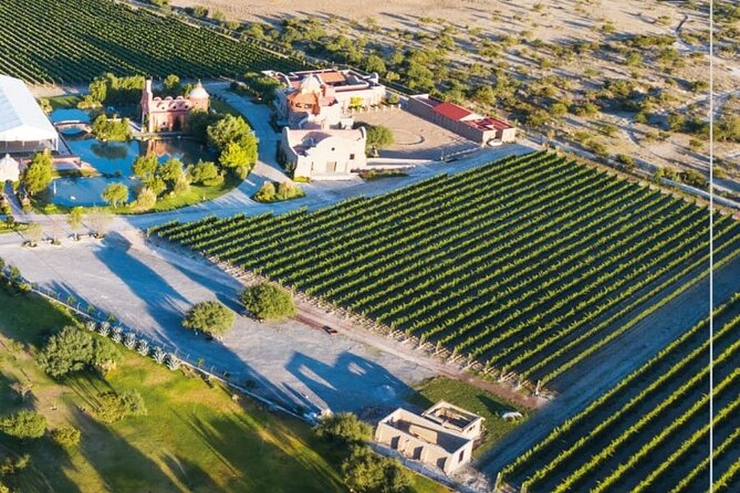 Vineyard, tour, tasting and fun in San Miguel de Allende - Who this tour suits best in San Miguel de Allende