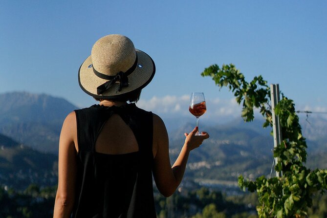 Vineyard Tour with Wine Tasting within Nice city borders - Walking the Vines: Terroir, Grape Types, and What You’ll Notice
