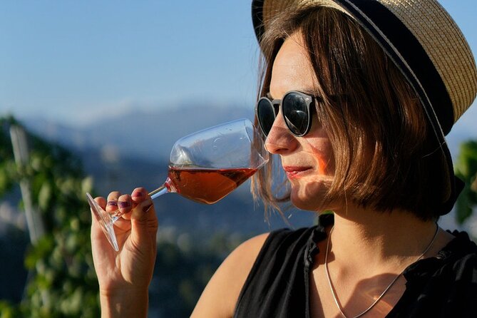 Vineyard Tour with Wine Tasting within Nice city borders - Three Wines Included: How to Get the Most From the Tasting