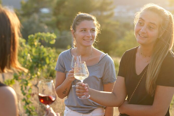 Vineyard Tour with Wine Tasting within Nice city borders - Price and Value at About $39.91 for 1.5 Hours