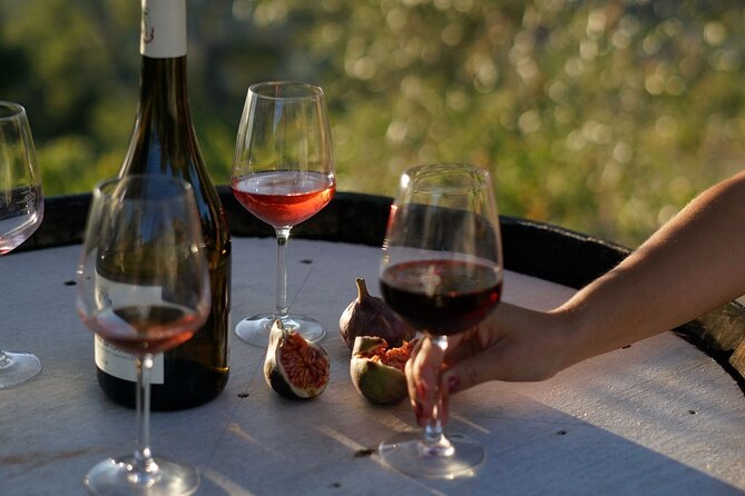 Vineyard Tour with Wine Tasting within Nice city borders - The Small-Group Format (15 Max) and Why It Feels Less Touristy