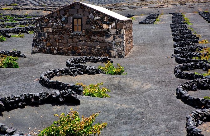 Vineyards of La Geria hiking tour - Key things I’d plan around