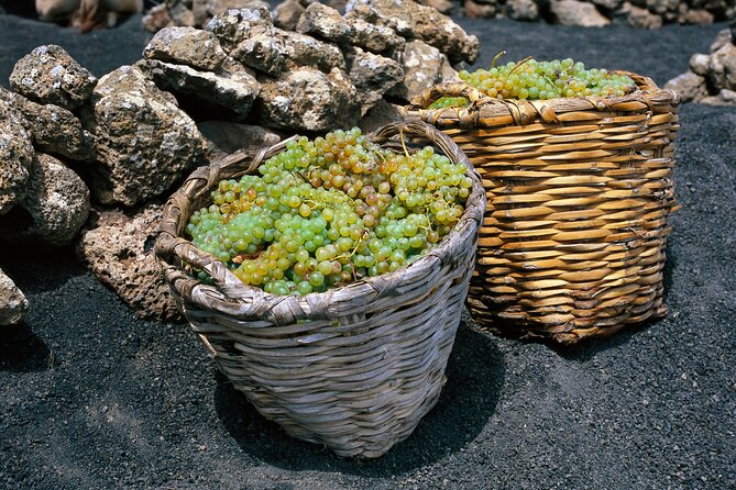 Vineyards of La Geria hiking tour - Snacks, water, and the wine-and-cheese ending