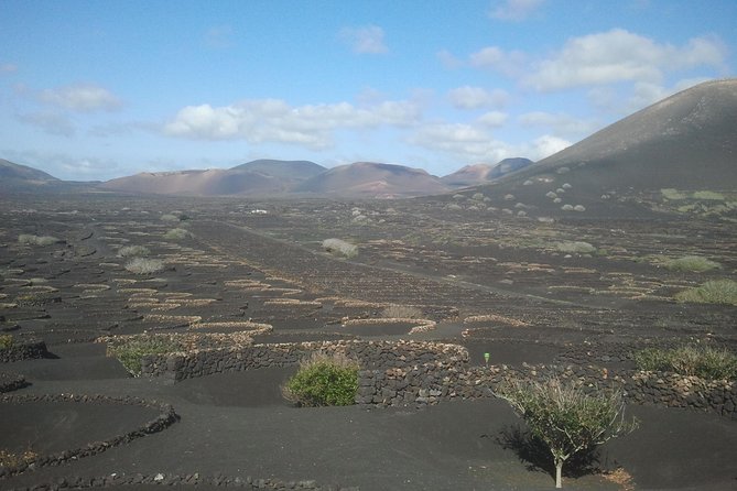 Vineyards of La Geria hiking tour - The 9.5 km hike: moderate intensity, real hills
