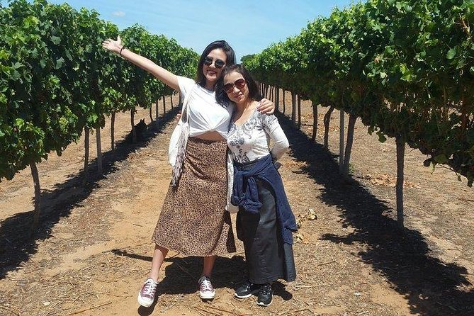 VIP Swan Valley Wine Tour - Premium Small Group Wine & Gourmet Experience - Key Things That Make This Tour Worth Your Time