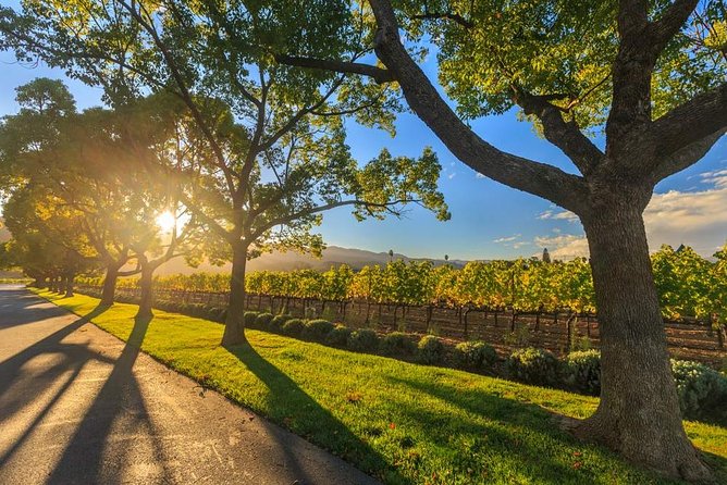 VIP Swan Valley Wine Tour - Premium Small Group Wine & Gourmet Experience - Getting Out of Perth: the 30-Minute Warm-Up and History Lesson