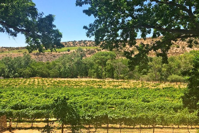Visit 4 Wineries in Limo Party Bus-Includes Charcuterie Lunch! - Why a limo party bus fixes the Sedona wine-tasting problem