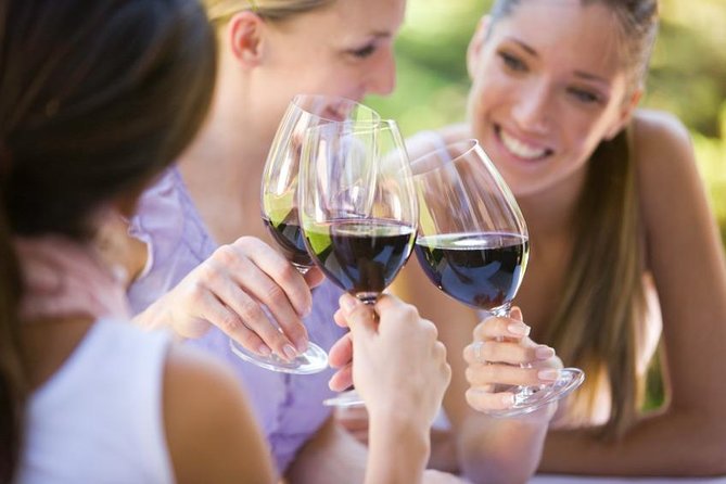 Visit 4 Wineries in Limo Party Bus-Includes Charcuterie Lunch! - Tastings, discounts, and the real cost of wine