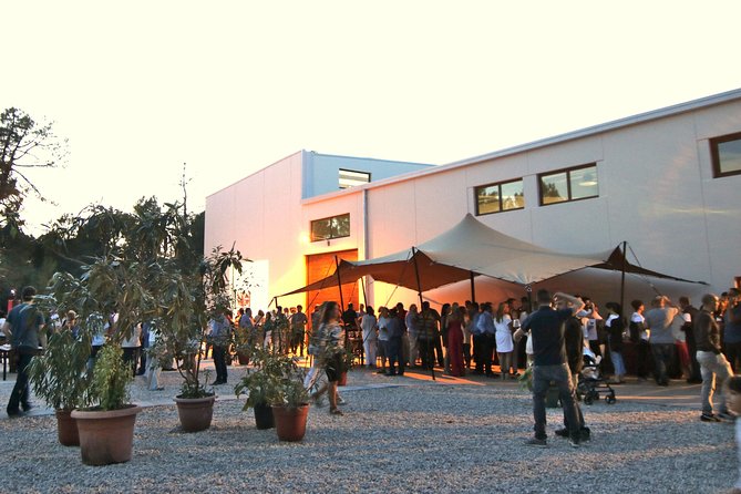 Visit and Wine Tasting at the Territorio Luthier Winery - Territorio Luthier at a glance: price, time, and what you taste