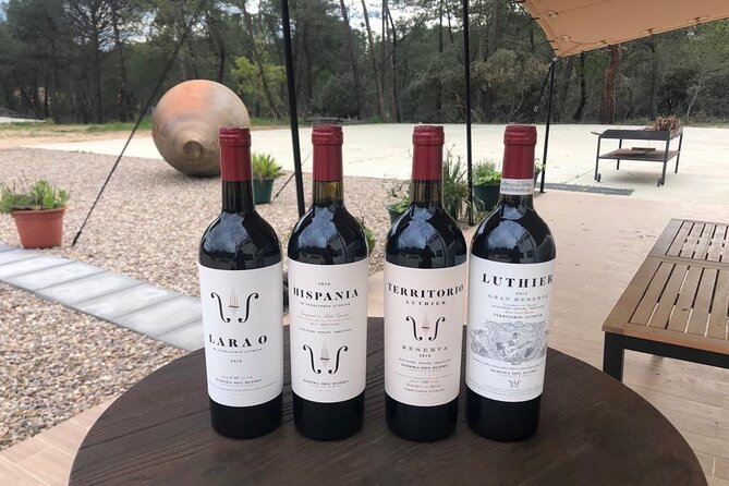 Visit and Wine Tasting at the Territorio Luthier Winery - Aging in unusual wood: where the wine picks up fingerprints