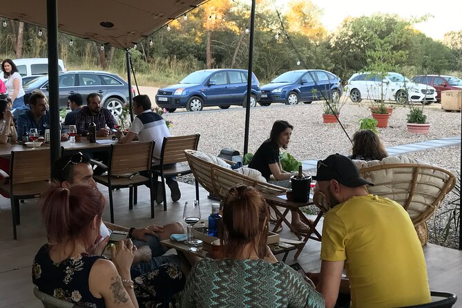 Visit and Wine Tasting at the Territorio Luthier Winery - The tasting area: four reds, snacks, and a real sense of pacing