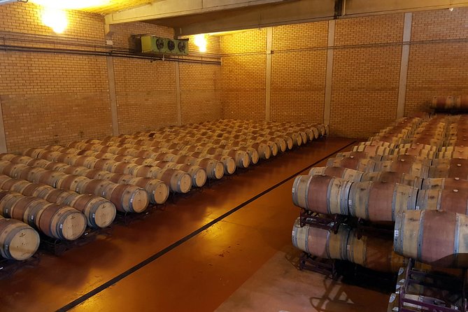 Visit and wine tasting with sausage and BODEGA PIRINEOS cheese - Bodega Pirineos: A 90-Minute Winery Visit That Stays Practical