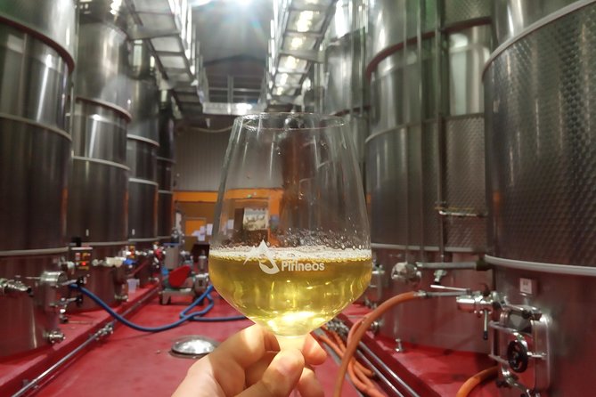 Visit and wine tasting with sausage and BODEGA PIRINEOS cheese - The Commented Tasting: Rosé, White, and Two Reds
