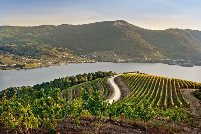 Visit Coastal Vineyard - What you’re really paying for