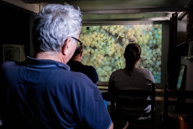 Visit of Cave Immersive - tasting - Kougelhopf to Strasbourg - The 180-degree barrel video: how the story is actually presented