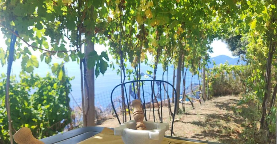 Volastra: BarCa Wine Tasting in Cinque Terre and Pesto Class - Sunset Time: Why This Finish Works