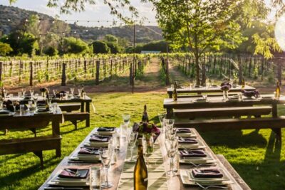 Vortex to Vineyards by ABC wildlife host Rachel Reenstra - Javelina Leap Vineyard: picnic vibes in Page Springs