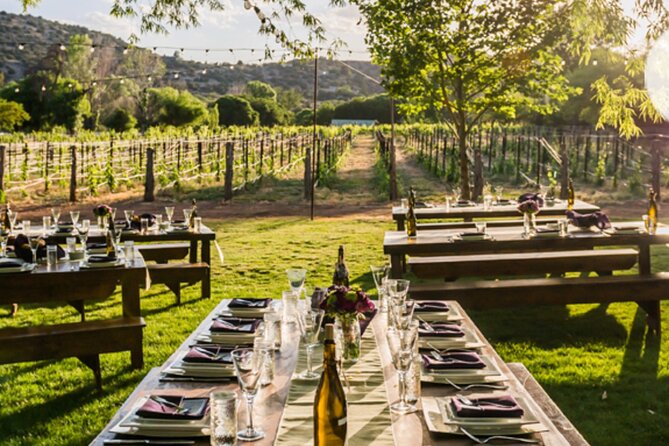 Vortex to Vineyards by ABC wildlife host Rachel Reenstra - Javelina Leap Vineyard: picnic vibes in Page Springs