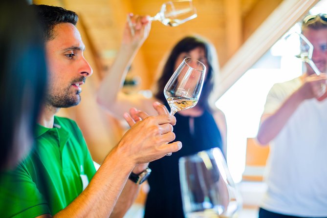 Wachau Valley Small-Group Tour and Wine Tasting from Vienna - Leaving Vienna at 9:00: the calm start that matters
