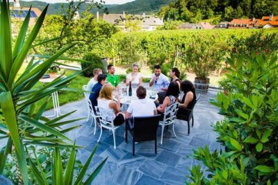 Wachau Valley Small-Group Tour and Wine Tasting from Vienna - The Wachau Valley drive: what you’ll notice beyond the windows