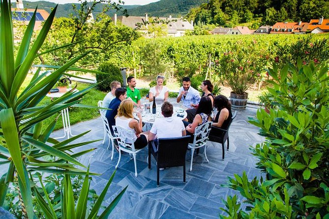 Wachau Valley Small-Group Tour and Wine Tasting from Vienna - The Wachau Valley drive: what you’ll notice beyond the windows