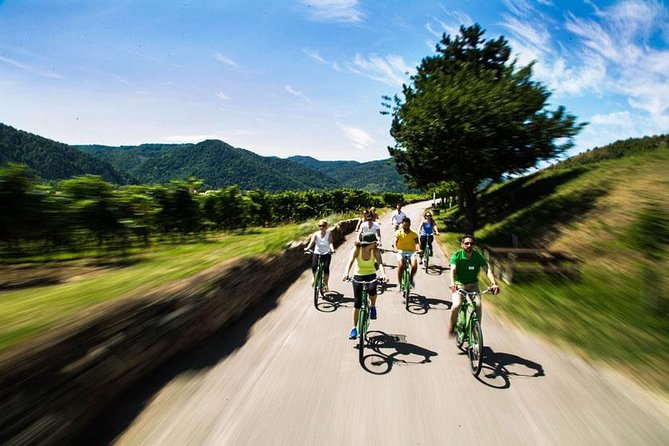 Wachau Valley Wine Tasting Bike Tour from Vienna - Price and Value at $163.26: What You’re Paying For