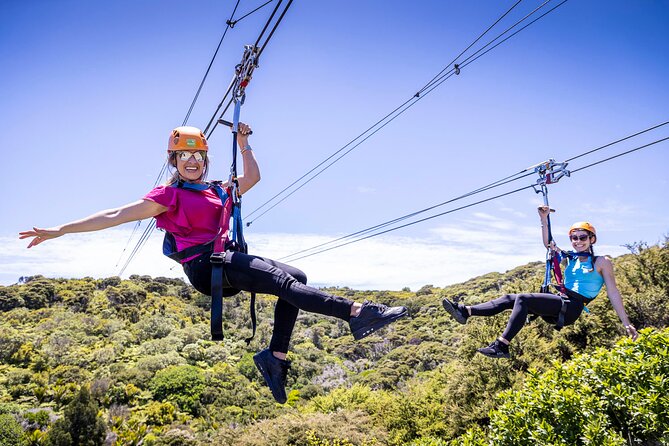 Waiheke Island Day Tour: Ziplining, Wine Tasting & Vineyard Lunch - Key things to know before you go