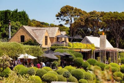 Waiheke Island Day Tour: Ziplining, Wine Tasting & Vineyard Lunch - Ecozip Adventures: three zipline flights, harness checks, and a forest walk