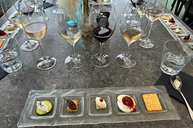 Waiheke Island Gourmet Food and Wine Tour - Stop 2: Allpress Olive Groves and the Olive Oil Lesson