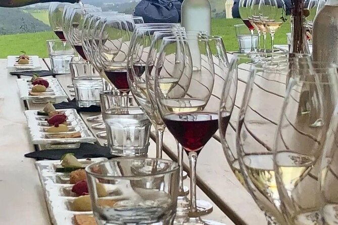 Waiheke Island Gourmet Food and Wine Tour - Food Beyond the Wine: Oysters, Cheese, and Olive Oil