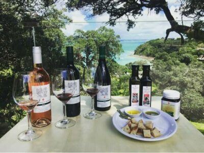 Waiheke Island Gourmet Food and Wine Tour with Lunch - Getting from Auckland or staying on Waiheke: the one timing detail that matters