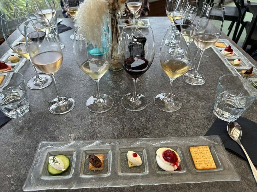 Waiheke Island Gourmet Food and Wine Tour with Lunch - How to plan your day so it feels fun, not frantic