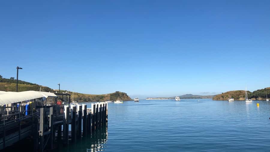 Waiheke Island Gourmet Food and Wine Tour with Platter Lunch - Key moments