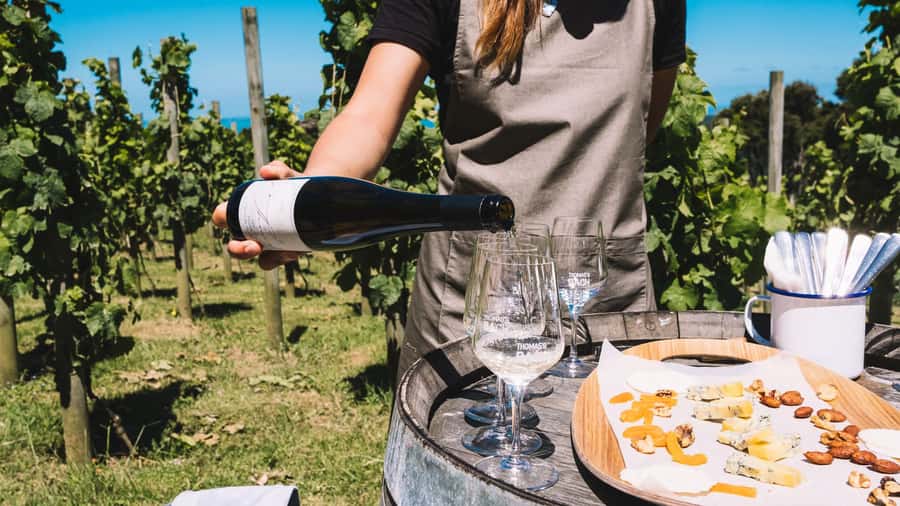 Waiheke Island Gourmet Food and Wine Tour with Platter Lunch - Visiting three boutique vineyards: what you’re really paying for