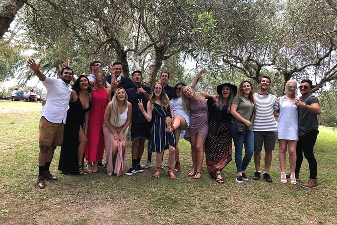 Waiheke Island Premium Wine Tour with Tastings - How ENJOI NZ builds your vineyard lineup (the day-to-day twist)