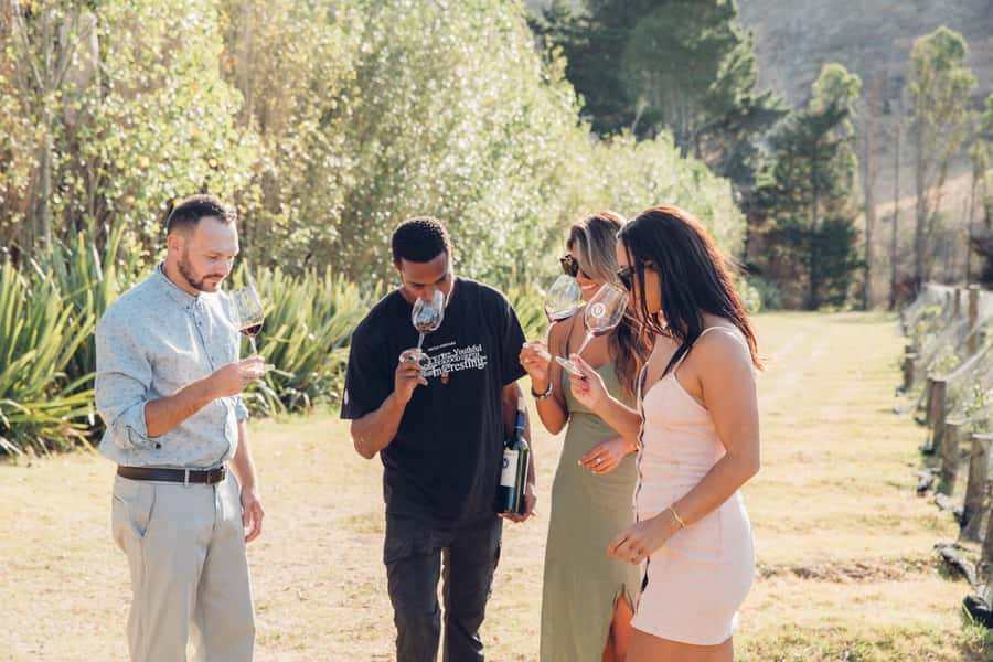 Waiheke Island: Scenic Island Wine Tour & Local Wine Tasting - Why Waiheke Works Best on a Guided Wine Day