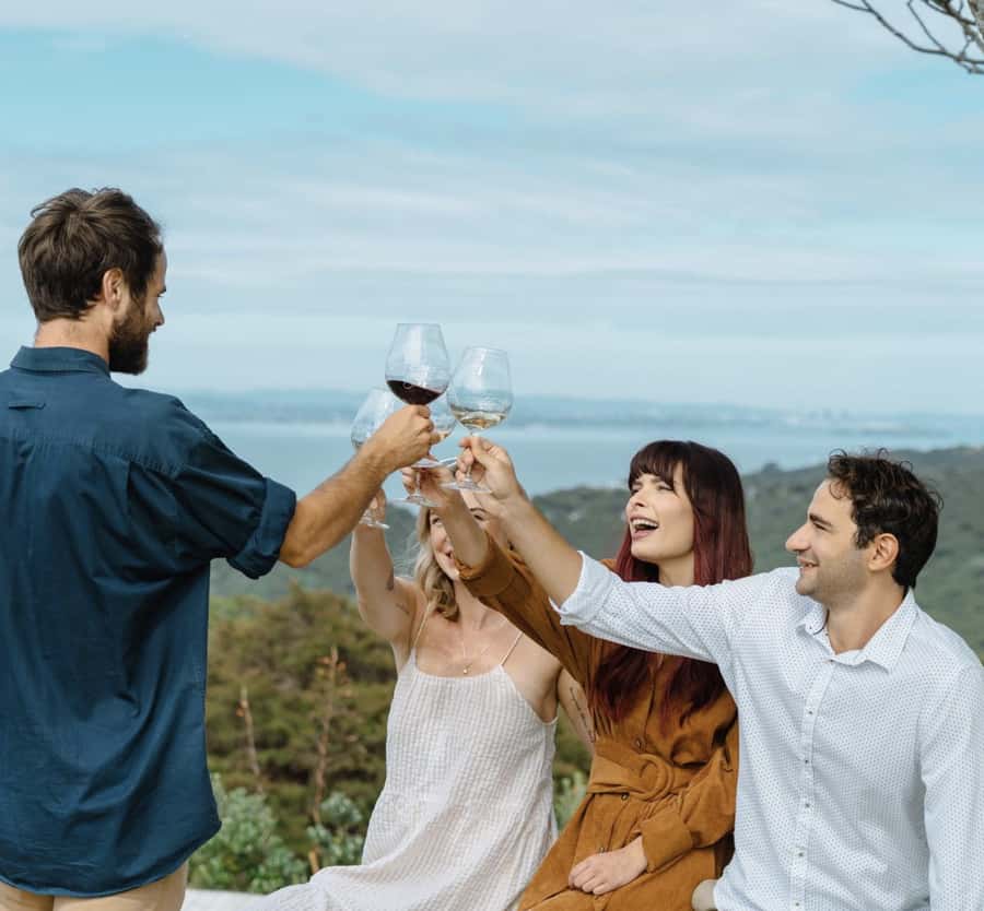 Waiheke Island: Scenic Island Wine Tour & Local Wine Tasting - Vineyard Views Plus Village Stops: What You Actually See