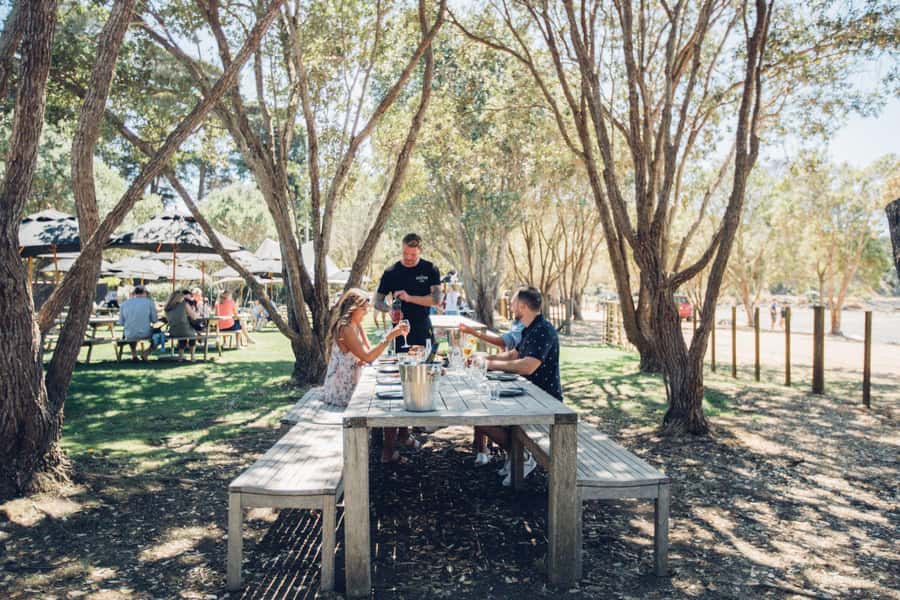 Waiheke Island: Scenic Island Wine Tour & Local Wine Tasting - The Kiwi Guide Factor: Humor, Local Tips, and Real Island Context