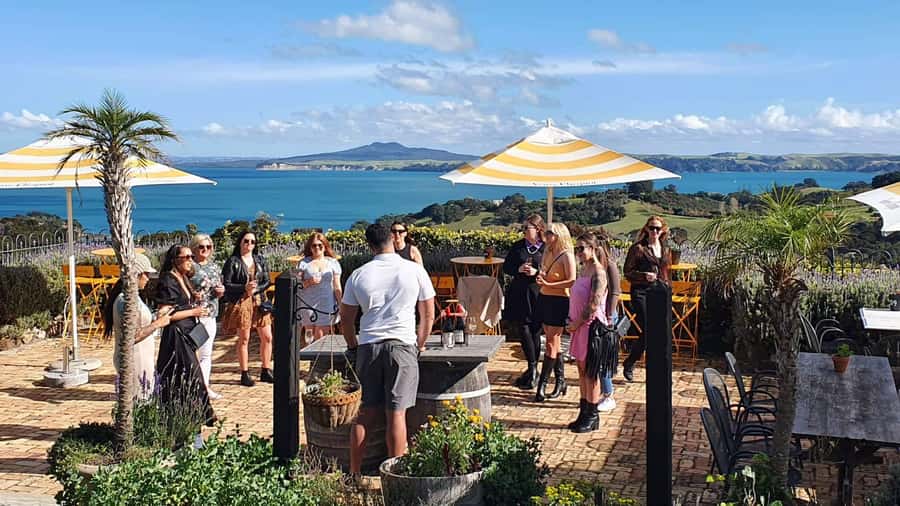 Waiheke Island: Scenic Island Wine Tour & Local Wine Tasting - Two Tour Lengths, Two Different Moods