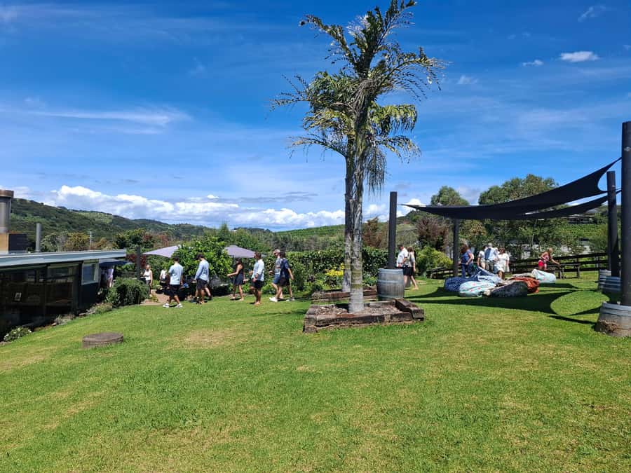 Waiheke Island: Sip and Savor 3 Vineyards Tour with Lunch - Lunch with wine included: the best pace-break