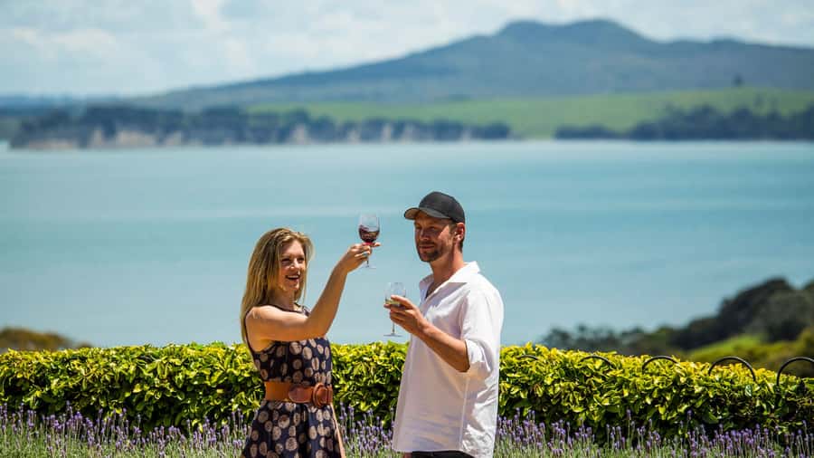 Waiheke Island: The Essence of Waiheke Wine Tour - The Value Check: Is $164 Worth It for a 5-Hour Day?
