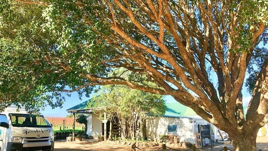 Waiheke Island: The Essence of Waiheke Wine Tour - Should You Book This Waiheke Wine Tour?
