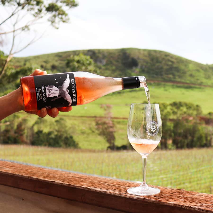 Waiheke Island: Wine Tour & Lunch at Award Winning Venue - Key Takeaways Before You Go