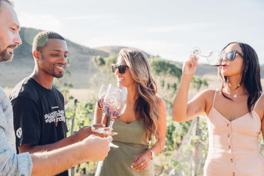 Waiheke Island: Wine Tour & Lunch at Award Winning Venue - The Onetangi Valley Route: Three Vineyard Tastings Done Properly