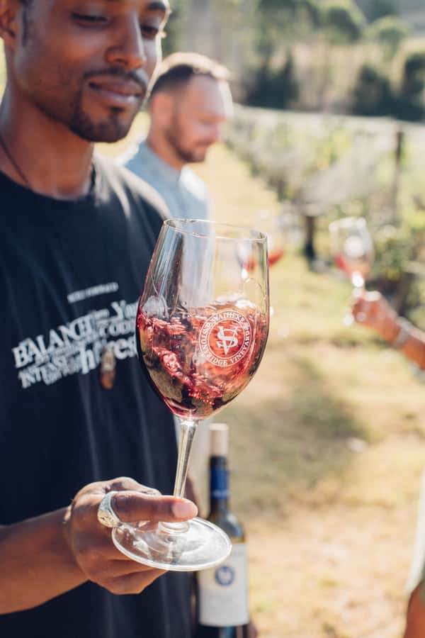 Waiheke Island: Wine Tour & Lunch at Award Winning Venue - Pace, Timing, and What You’ll Do After the Last Tasting