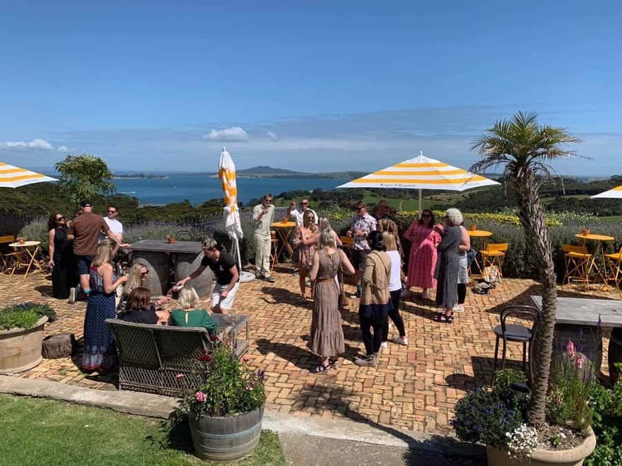 Waiheke Island: Wine Tour & Lunch at Award Winning Venue - Price and Value: Is $170 Worth It?